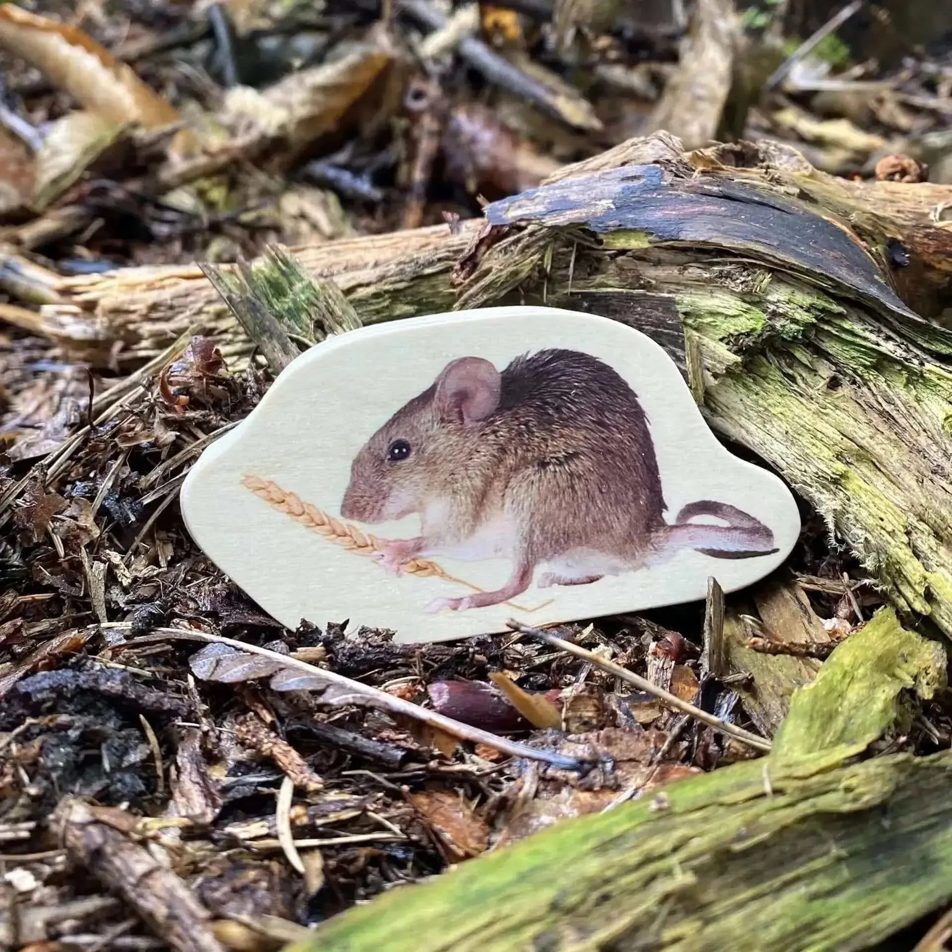 TickiT Wooden Forest Animal Blocks Set of 30-TickiT Wooden Forest Animal Blocks Set of 30