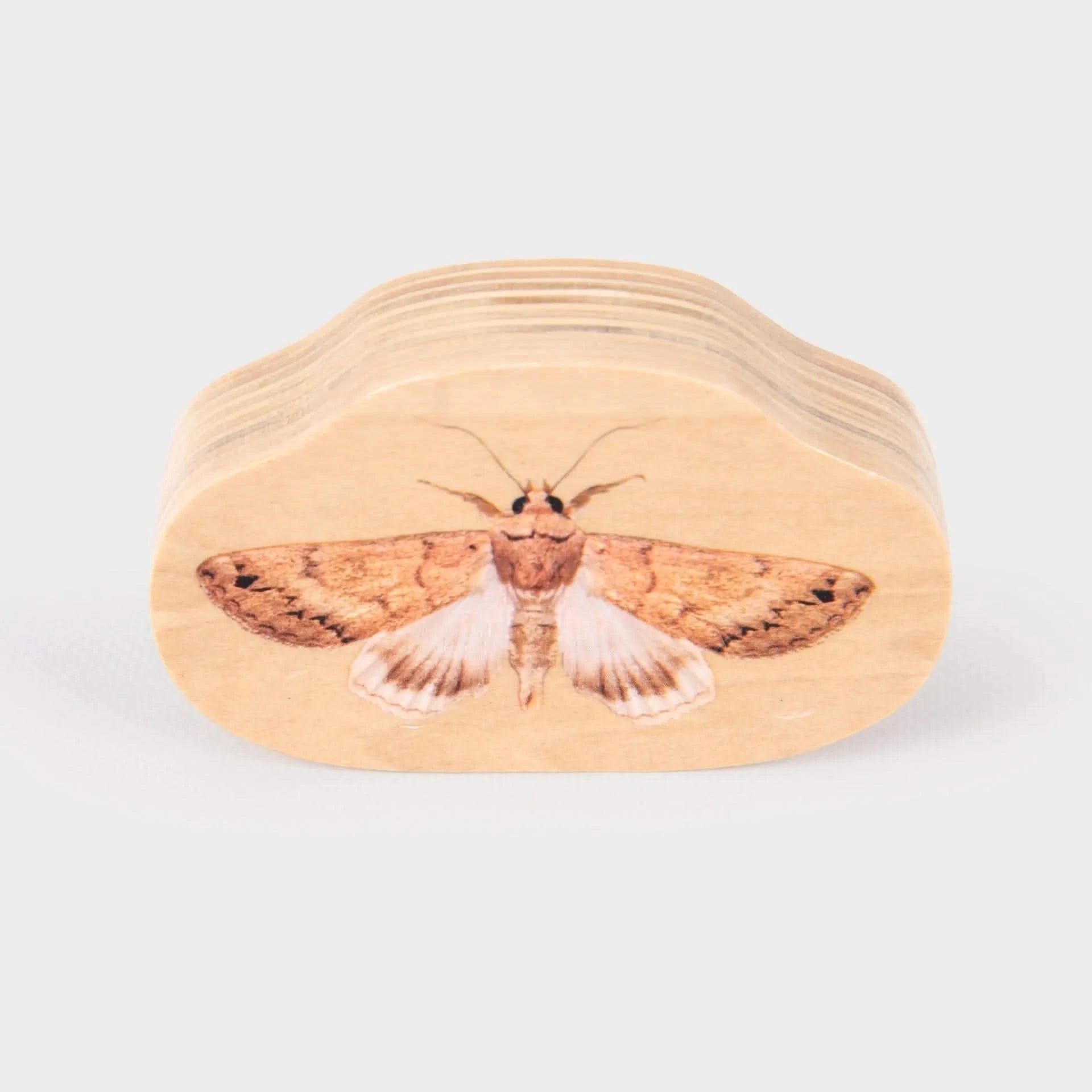 TickiT Wooden Minibeast Blocks-TickiT Wooden Minibeast Blocks