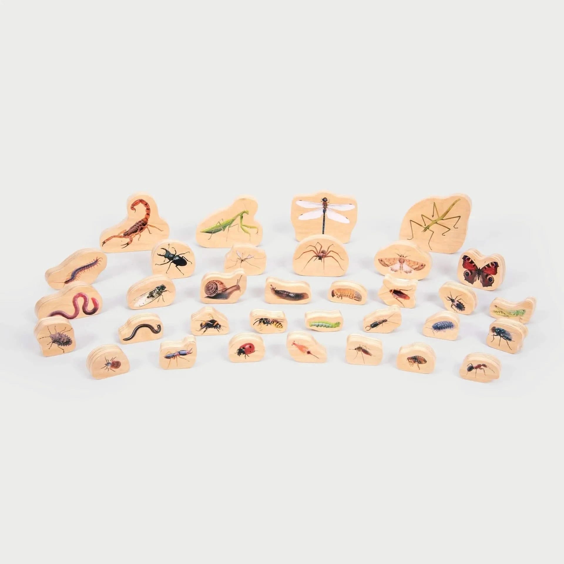 TickiT Wooden Minibeast Blocks-TickiT Wooden Minibeast Blocks