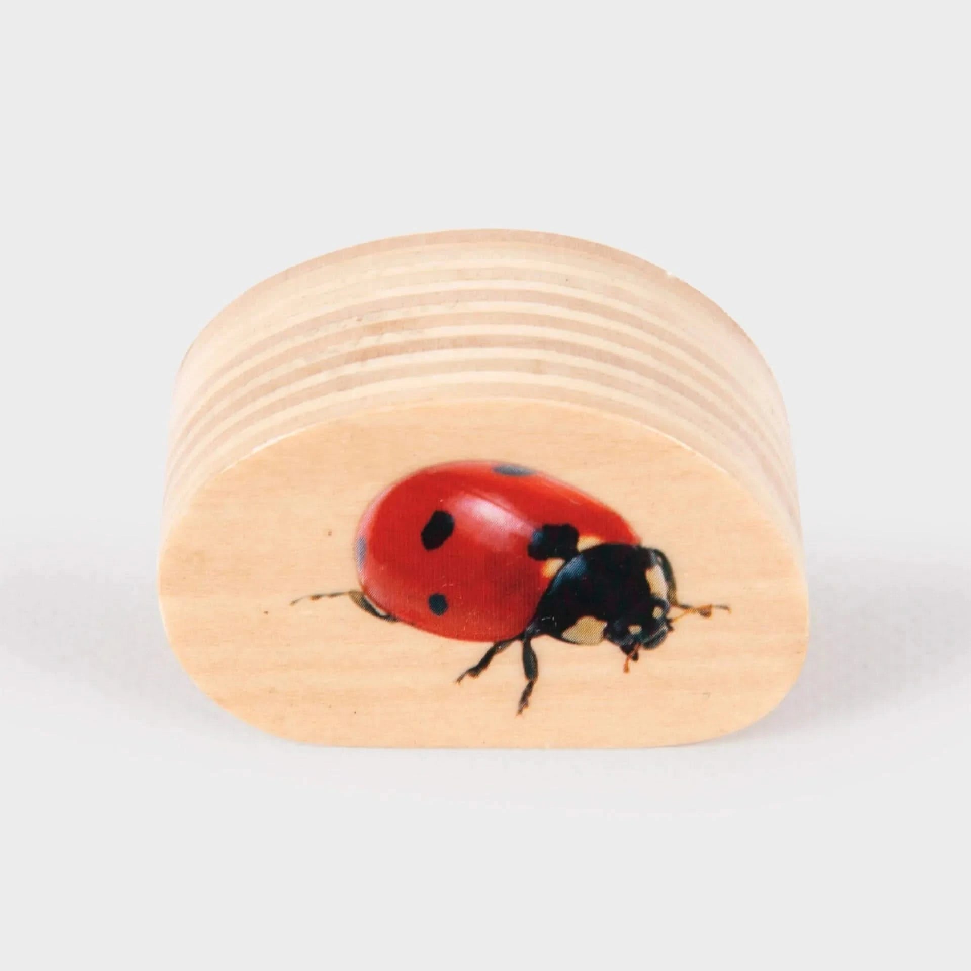 TickiT Wooden Minibeast Blocks-TickiT Wooden Minibeast Blocks