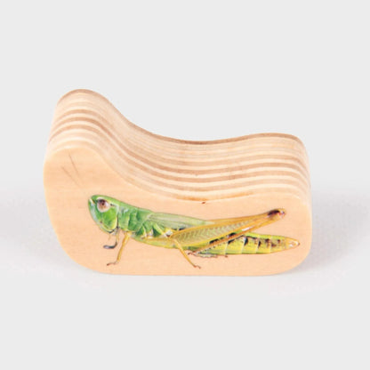 TickiT Wooden Minibeast Blocks Set of 33-TickiT Wooden Minibeast Blocks Set of 33