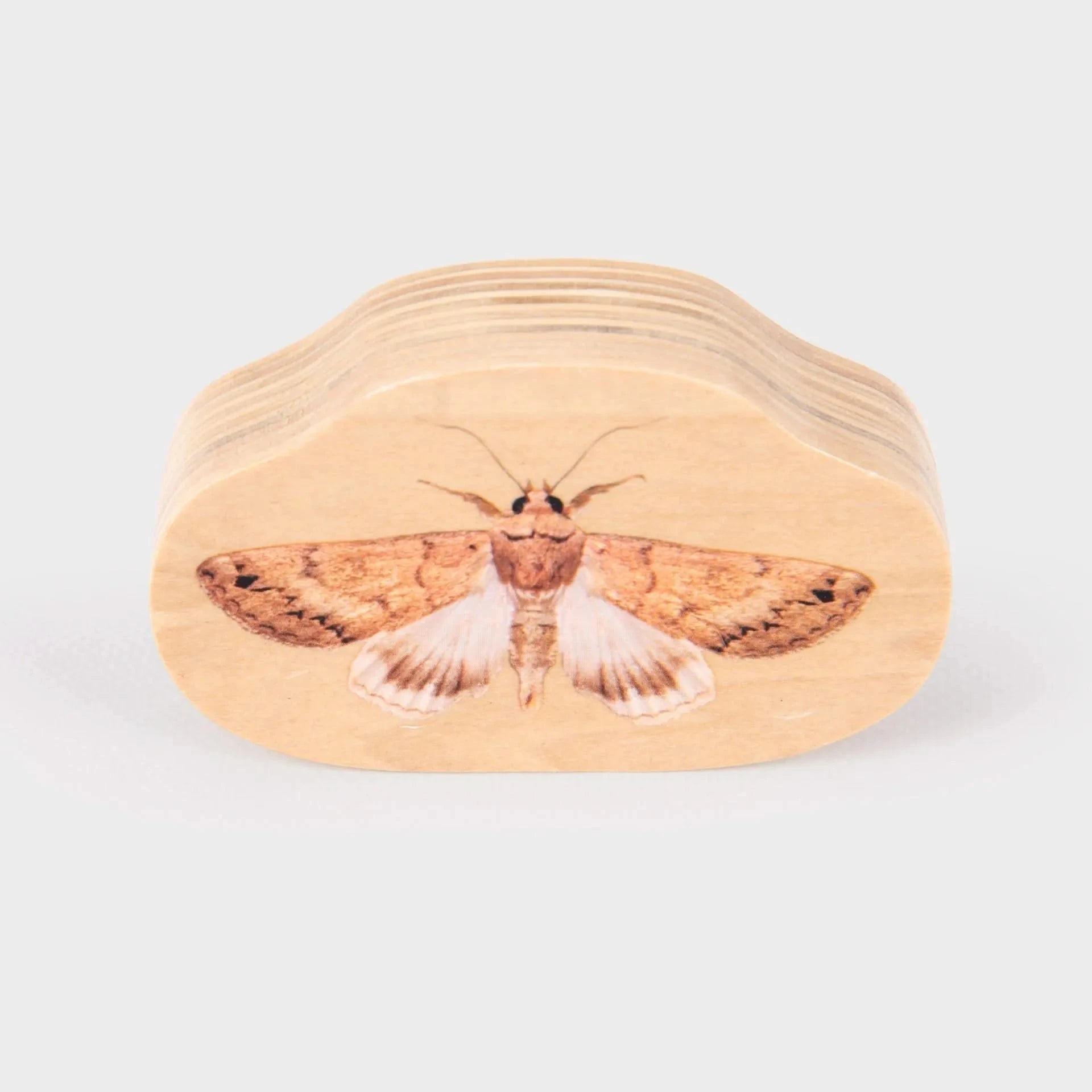 TickiT Wooden Minibeast Blocks Set of 33-TickiT Wooden Minibeast Blocks Set of 33