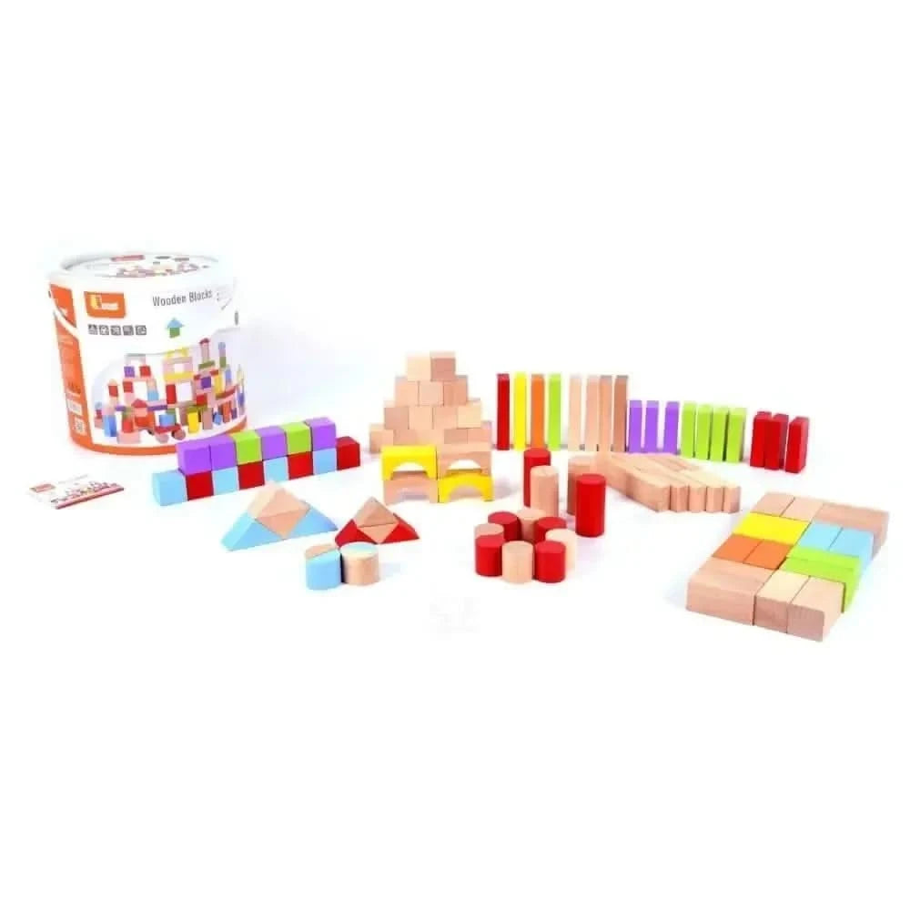 Tidlo 100 Piece Block Set-Tidlo 100 Piece Block Set