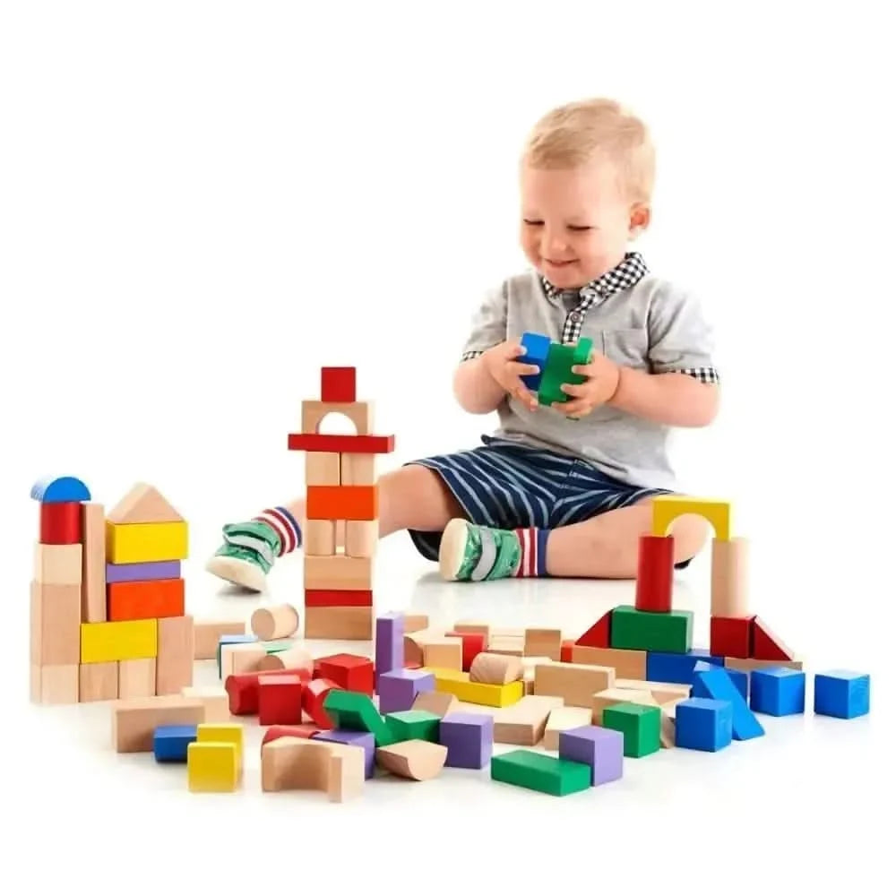 Tidlo 100 Piece Block Set-Tidlo 100 Piece Block Set