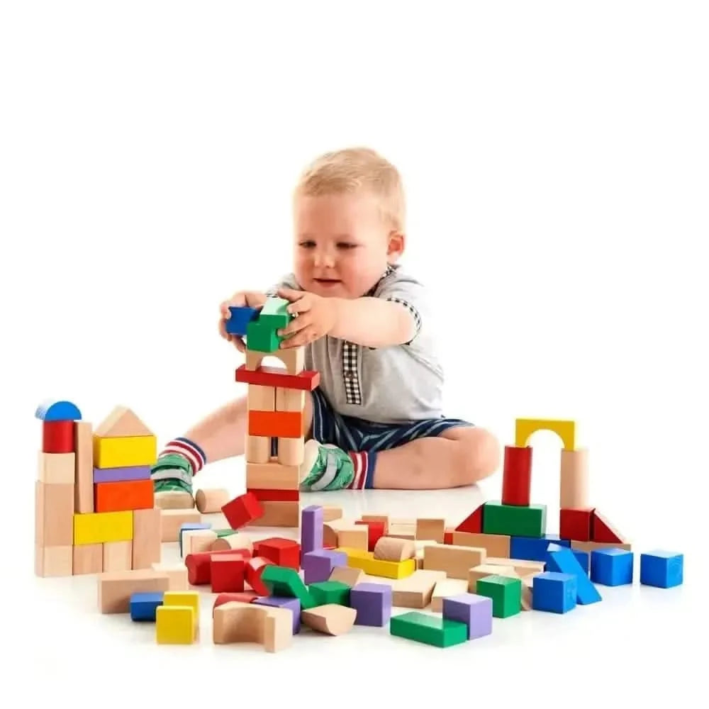 Tidlo 100 Piece Block Set-Tidlo 100 Piece Block Set