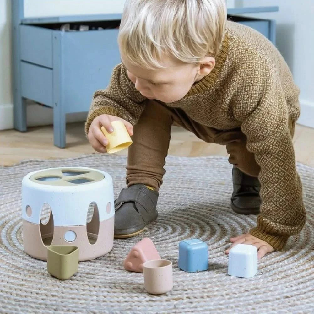 Tiny Bio Shape Sorter-Tiny Bio Shape Sorter