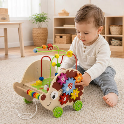 Viga Toys Wooden Pull Along Activity Hedgehog-Viga Toys Wooden Pull Along Activity Hedgehog