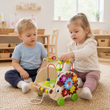 Viga Toys Wooden Pull Along Activity Hedgehog-Viga Toys Wooden Pull Along Activity Hedgehog