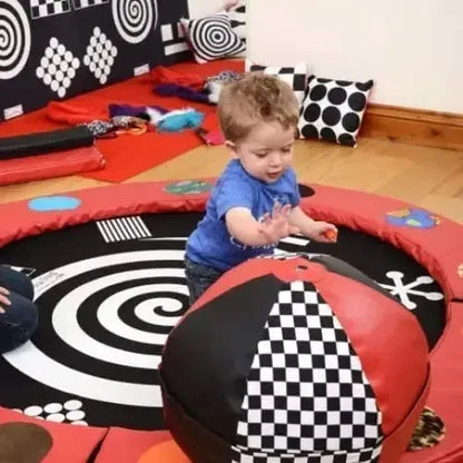 Visual Perception Balance Ball-Visual Perception Balance Ball