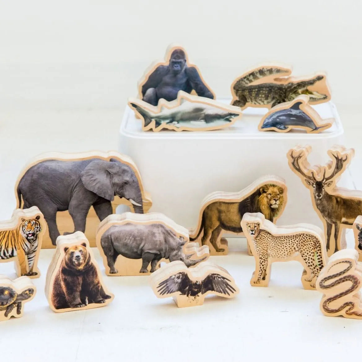 Wild Animals-Wild Animals
