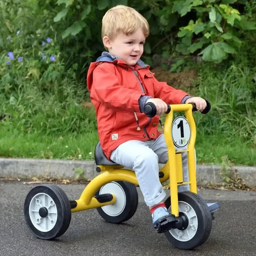Wisdom Small Trike-Wisdom Small Trike