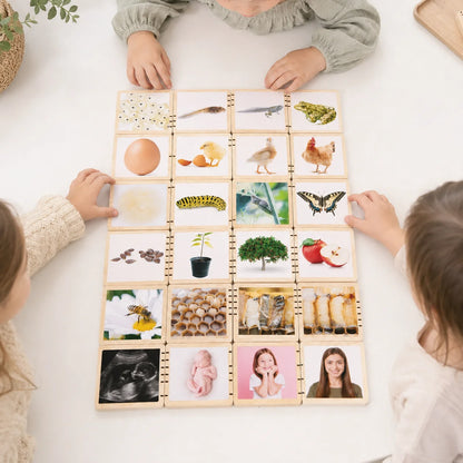 Wooden Lifecycle Tiles-Wooden Lifecycle Tiles