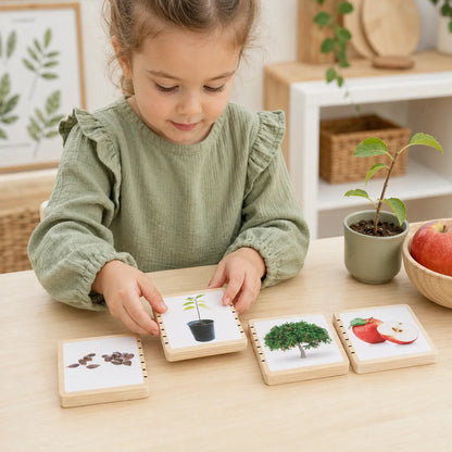 Wooden Lifecycle Tiles-Wooden Lifecycle Tiles