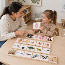 Wooden Lifecycle Tiles-Wooden Lifecycle Tiles